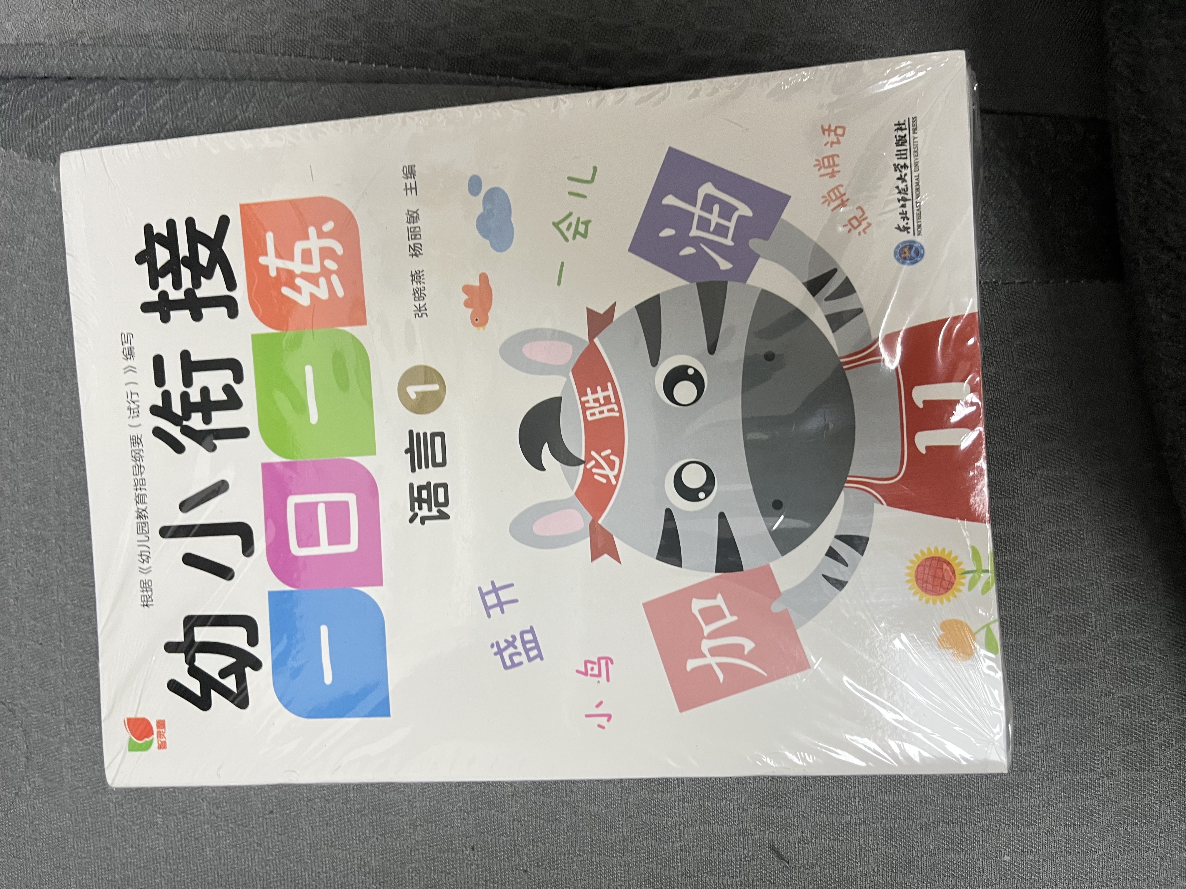 幼小衔接一日一练全套（全12册）幼儿园一年级学前入学准备教材 语文数学拼音汉字全套教材学前班练习册天天练 3-6岁学前班识字幼儿园大班推荐书目 实拍图