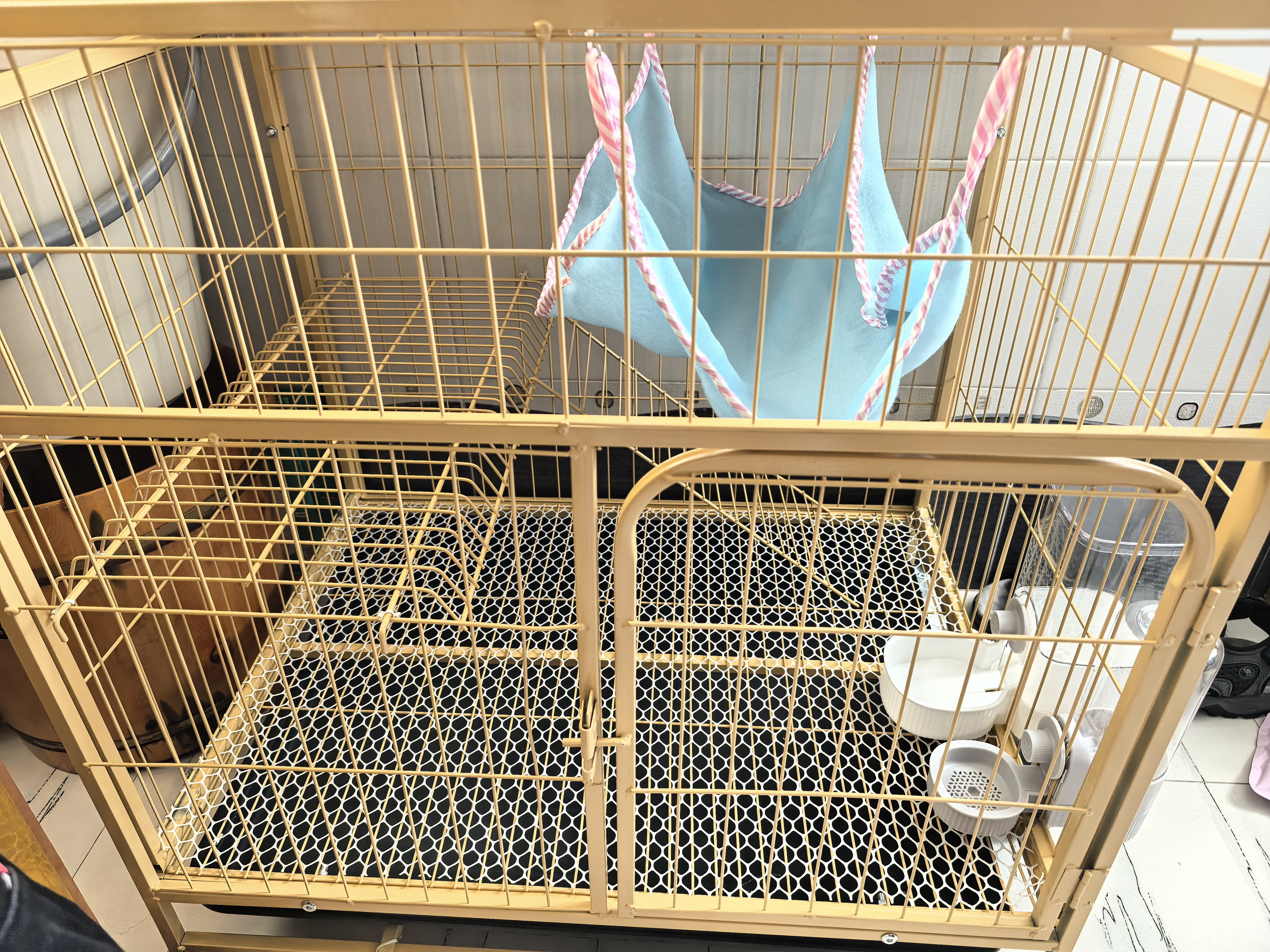 酷奇宠猫笼 大号猫笼子带厕所猫别墅猫窝成猫幼猫猫舍猫屋宠物笼子用品 黄色 中双层 70.5*54.5*76cm 实拍图