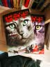 猫武士首部曲（全6册）预言开始 儿童文学动物小说自主阅读生存勇气成长励志 奇幻冒险小说 中小学生青少年提升写作作文能力 课外书王芳推荐暑假作业 一升二暑假衔接 小升初暑假衔接  暑期阅读 课外推荐 实拍图