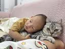 普安特宠物猫咪驱虫药体外驱虫滴剂幼猫跳蚤寄生虫非泼罗尼爱滴克 实拍图