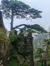 牧高笛（MOBIGARDEN）征途避震款登山杖 户外徒步登山铝合金伸缩登山杖轻便手杖 夜幕黑/135CM（两根） 实拍图