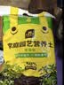 史丹利育苗型营养土12L 扦插养花通用专用土壤种植土有机优质土基质 实拍图