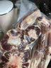 澳牛日记 牛尾骨 净重2斤 谷饲原切牛尾巴宝宝煲汤营养牛肉生鲜 实拍图