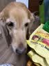 疯狂小狗鸭肉梨狗粮中大小型犬幼犬成犬金毛泰迪肉松五拼粮10kg/20斤 实拍图