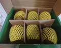 佳沛（zespri）新西兰阳光金奇异果6粒装88-103g猕猴桃水果中秋节礼品送水果礼盒 实拍图