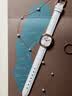 丹尼尔惠灵顿（DanielWellington）【礼盒款】DW女士手表2026新款复古简约石英表生日礼物送女 实拍图
