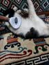 茨格曼猫梳子梳毛刷猫咪去浮毛猫毛清理器除毛器针梳狗狗梳子宠物用品 实拍图