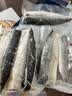 禧美海产冷冻挪威青花鱼片净重2斤 独立2-4袋装 大西洋鲭鱼 露营烧烤 实拍图