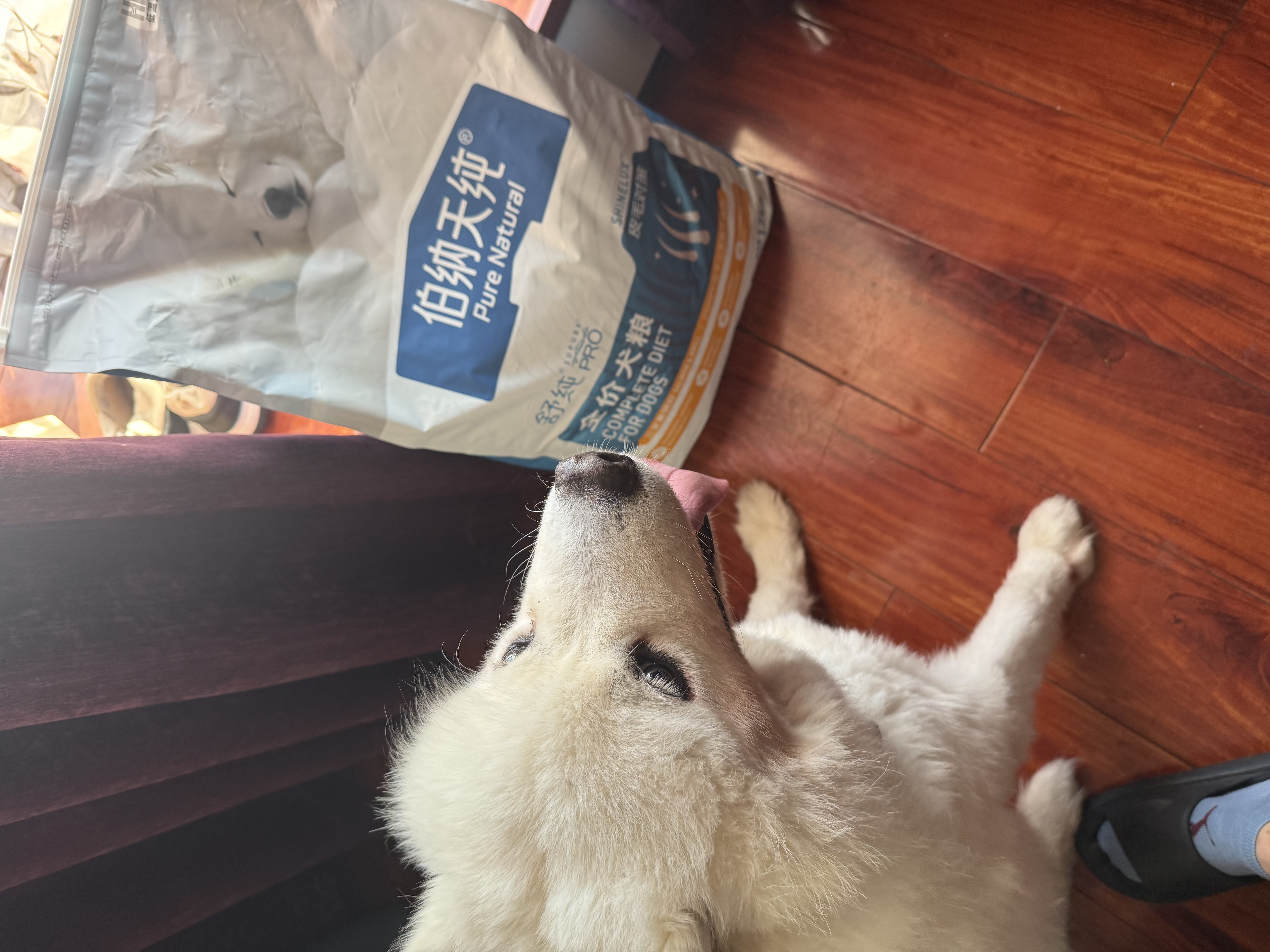 伯纳天纯舒纯PRO系列全价犬粮三文鱼低敏磷虾皮毛小型犬12kg/包 实拍图