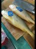 三都港 冷冻黄花鱼700g/2条装 大黄鱼深海鱼 生鲜鱼类 海鲜水产中秋礼品 实拍图