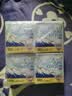 淘淘氧棉天山白纯棉消毒级夜用卫生巾355mm24片京东自营 实拍图