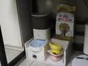 皇家猫粮 英短成猫粮 BS34 通用粮 12月以上 2KG 实拍图