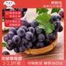 京鲜生 云南夏黑无籽黑提 蓝莓葡萄尝鲜装2-2.3斤 高糖低酸 生鲜水果 实拍图