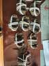 【活蟹】漁家师傅大闸蟹全母3.5-3.8两8只去绳足重鲜活螃蟹现货生鲜水产礼盒中秋送礼 实拍图