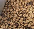 疯狂小狗狗粮博美专用 小型幼犬成犬肉粒双拼美毛粮1.5kg 3斤 实拍图