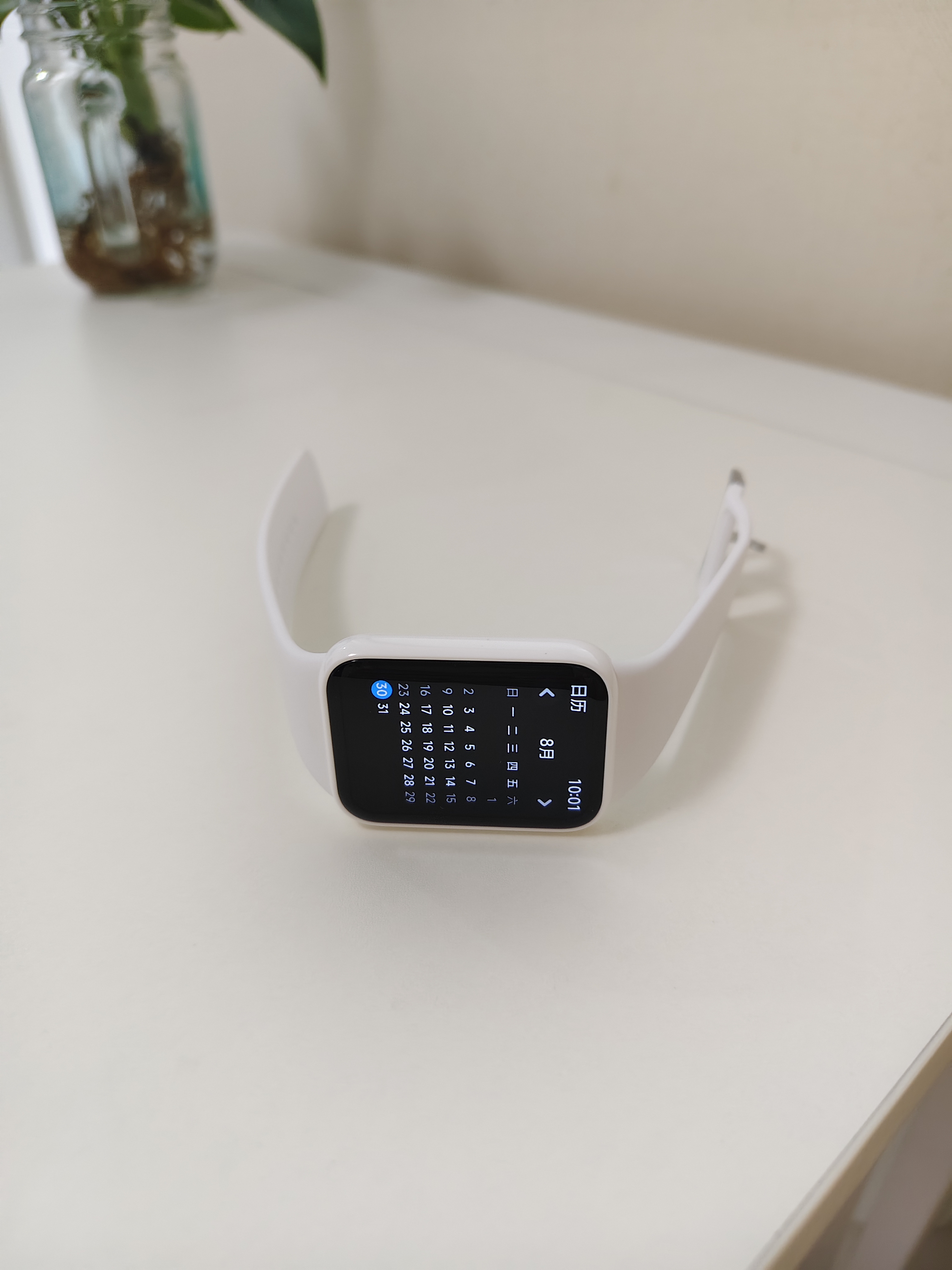 小米（MI）小米手环10Pro  国家补贴 轻薄机身 专业运动健康 HRV睡眠监测 支持nfc 陶瓷版 陶瓷白 实拍图