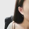 芯奢s999纯银简约线条耳环女高级百搭耳钉养耳洞足银耳钩2026新款耳饰 简约线条耳环【通体999足银】 实拍图