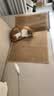 憨憨乐园防剑麻垫猫抓垫猫抓板不掉屑耐抓防猫爪猫垫子入户门地垫用品 实拍图