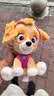 汪汪队立大功（PAW PATROL）毛绒玩具陪睡玩偶经典款天天中号坐姿公仔男女孩儿童生日礼物 实拍图