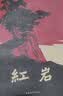 红岩+读书笔记全2册红岩罗广斌杨益言 中国现当代文学 中小学生课外阅读 八年级上必读人教版教材配套 开学季 实拍图