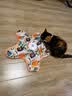 欢宠网猫玩具猫咪五角星捕捉罩捕猎电动自动逗猫棒猫猫小猫幼猫自嗨解闷 实拍图