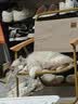 网易严选全价猫粮4.0成幼猫三文鱼亮毛养胃深海鱼虾1.8kg*6袋【宠物金选】 实拍图