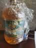 福临门食用油 非转基因压榨一级黄金产地玉米胚芽油6.18L 中粮出品 实拍图