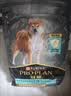 冠能狗粮消化舒适成犬狗粮全价2.5kg 天然益生元配方 改善肠胃敏感 实拍图