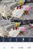 奥克斯1600万像素摄像头监控无线wifi网络高清夜视监控器360度无死角带夜视全景云台家用AI监控手机远程 实拍图