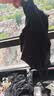 迪卡侬（DECATHLON）凉感长袖t恤男春夏季防晒跑步服男士打底衫运动跑步健身速干长袖 经典黑 L 实拍图