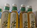 农夫山泉【新口味】东方树叶陈皮白茶500ml*15瓶无糖茶饮料0糖0脂0卡 实拍图