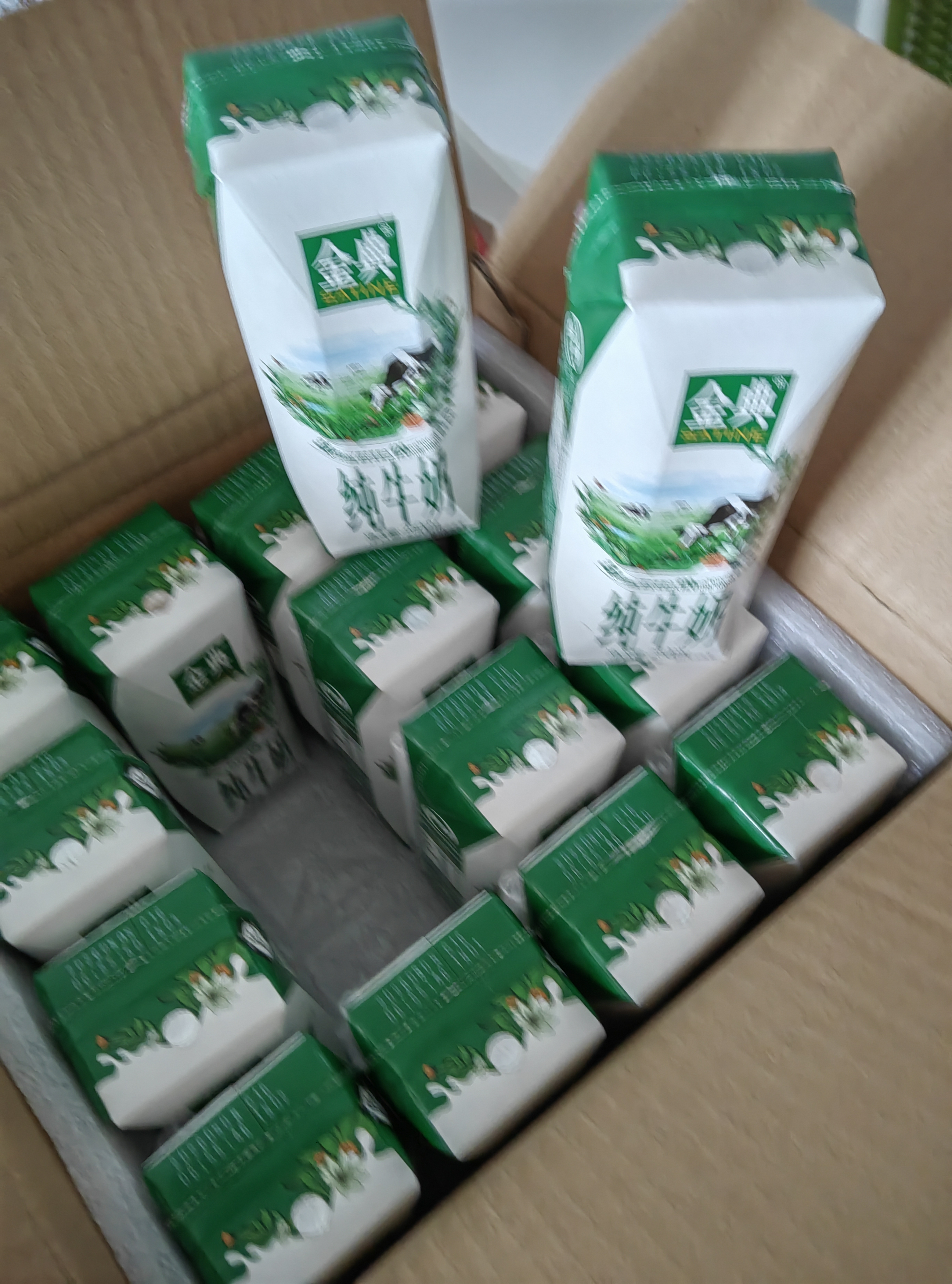 伊利【新鲜日期】金典纯牛奶早餐奶250ml*16盒3.6g 中秋礼品礼盒装 实拍图