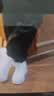 李宁板鞋男鞋秋冬低帮厚底增高小白鞋滑板鞋潮流百搭休闲运动鞋 【浮舟】标准白(419款)-1 41.5 实拍图