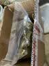 国芳粽子肉粽新鲜现做 大肉粽220gx8只 湖州非遗粽子端午团购源头直发 实拍图