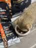 醇粹黑标生骨肉冻干猫粮 全价无谷鸡肉成猫幼猫通用粮1.5kg 实拍图