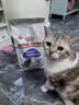 皇家猫粮 绝育成猫粮 SA37 通用粮 1-7岁 2KG 实拍图