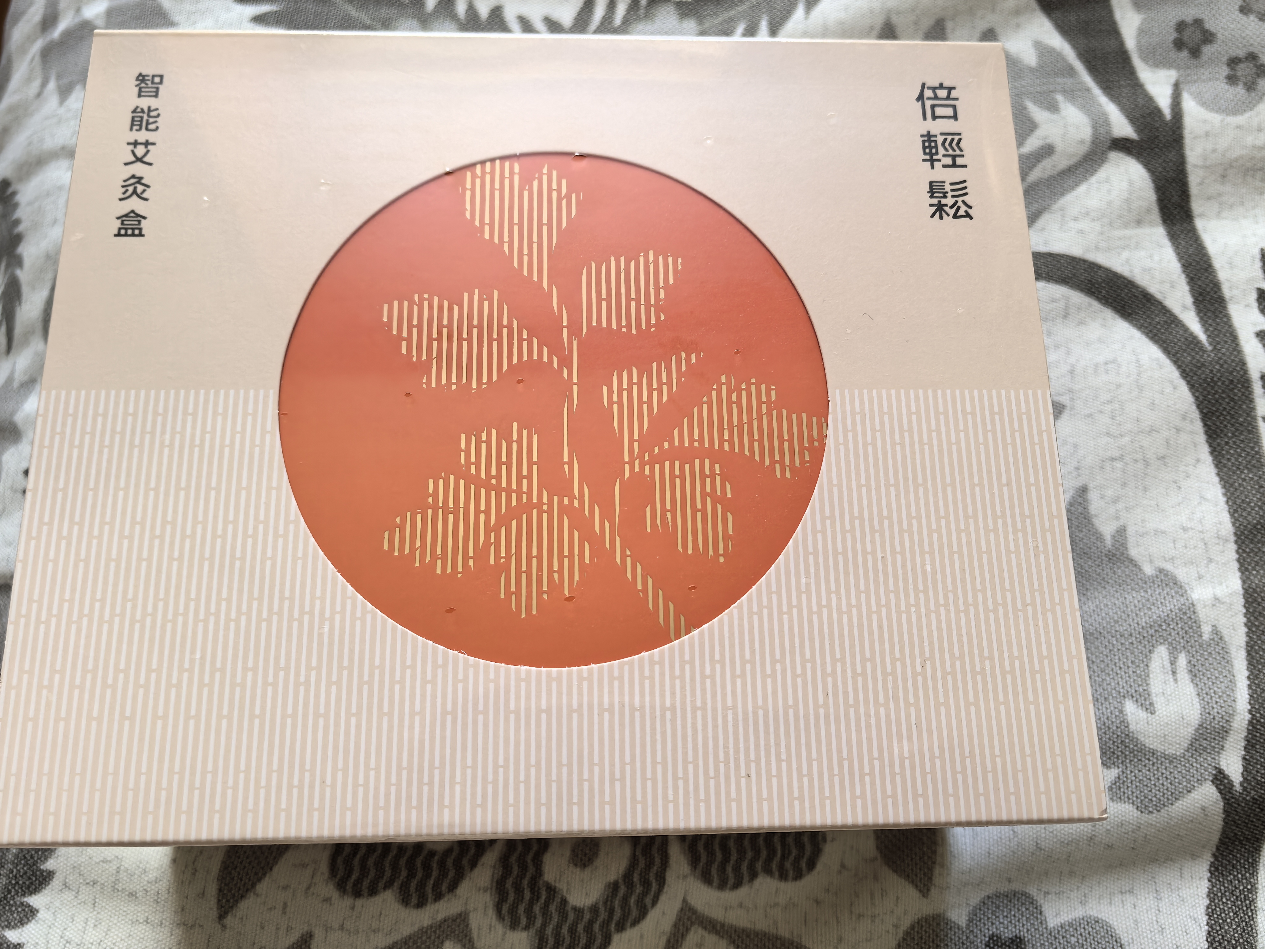 倍轻松（breo）姜小竹A2标准版艾灸盒月白色 家用便携无烟电子艾灸盒艾灸仪 生日礼物教师节礼物送老师妈妈女朋友 实拍图