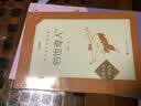 俗世奇人足本插图版 五年级 八年级 初中名著阅读课外书目 正版原著完整无删减 冯骥才 人民文学出版社 开学季 实拍图