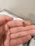 网易严选全价鲜蒸老年猫粮高鲜肉酥脆乳化易消化护关节护肠胃7岁以上1.5kg 实拍图
