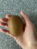 佳沛（zespri）新西兰阳光金奇异果6粒装88-103g猕猴桃水果中秋节礼品送水果礼盒 实拍图