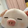 名创优品（MINISO）小猪B-BO玩偶公仔毛绒娃娃抱枕靠枕生日礼物女儿童玩具趴趴bobo猪 实拍图