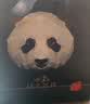 环太苦荞熊猫养生茶 大凉山黑苦荞茶叶(全胚+超微)180g*2中秋节送礼盒 实拍图