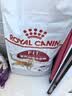 皇家猫粮 成猫猫粮 营养均衡 F32 通用粮 1-7岁 15KG 实拍图