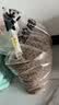 麦富迪狗粮 藻趣儿狗粮成犬粮牛肉螺旋藻 均衡营养2.5kg 实拍图