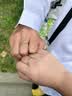 Vana银情侣戒指闭口一对戒求婚结婚订婚生日礼物送男女朋友 开口戒一对【十仓发货/次日达】 实拍图