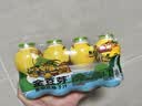 金豆芽儿童金银花柚子汁155ml*16瓶便携孩子饮料宝宝果汁西柚汁 实拍图