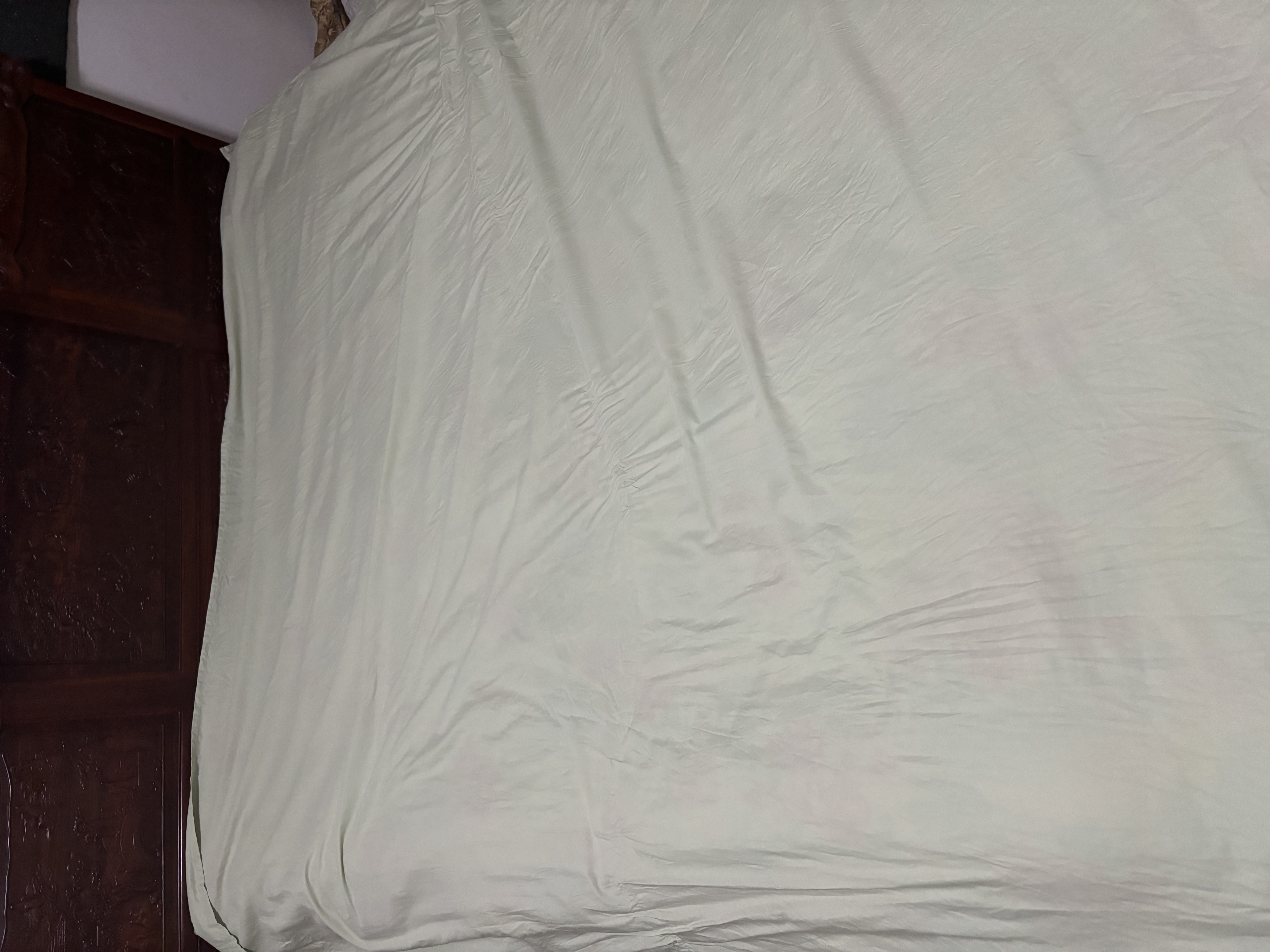 洁丽雅（Grace）A类7A抗菌100%纯棉床单单件家用床罩200*230cm 浅豆绿 实拍图
