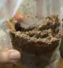捷森德国进口全麦面包混合口味3包1500g 0蔗糖0反式低脂全麦健身代餐 实拍图