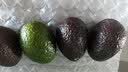 秘鲁进口哈斯牛油果 老树奶酪牛油果 新鲜孕妇水果宝宝辅食鳄梨 单果净重：100-130g 4粒独享装 实拍图