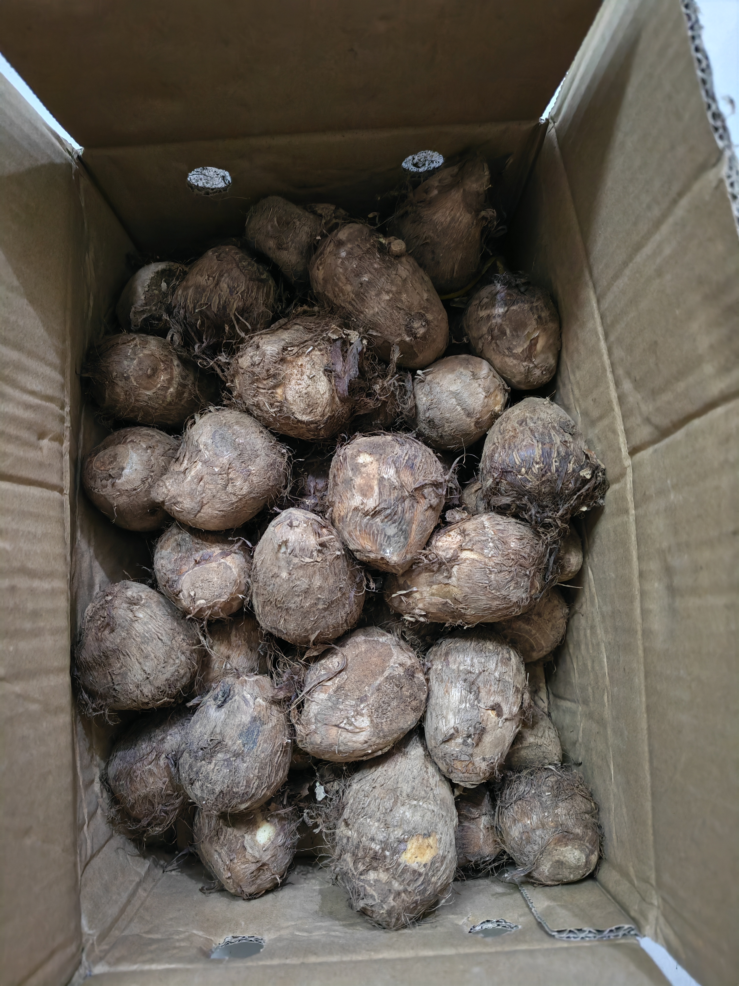 京鲜生山东牛奶小芋头 净重4.5斤中果25g+ 源头直发 蔬菜辅食 自营包邮 实拍图